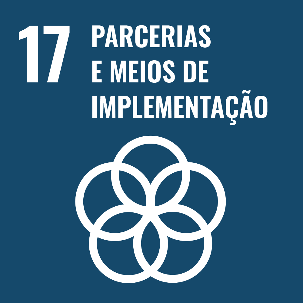 ODS 17